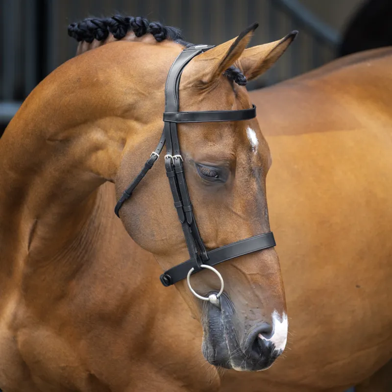 Shires Velociti Lusso Hunter Cavesson Bridle - Black